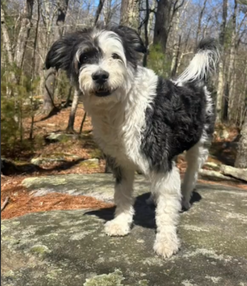 Holly in RI photo 3