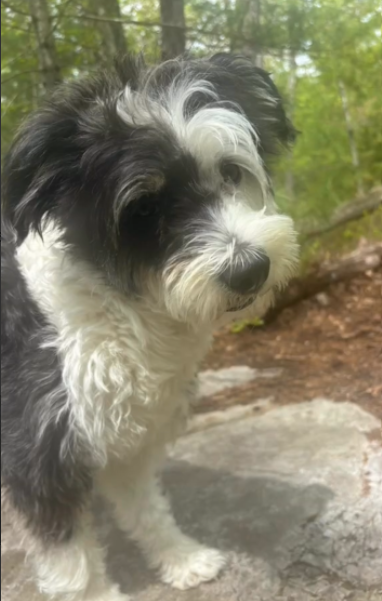 Holly in RI photo 5