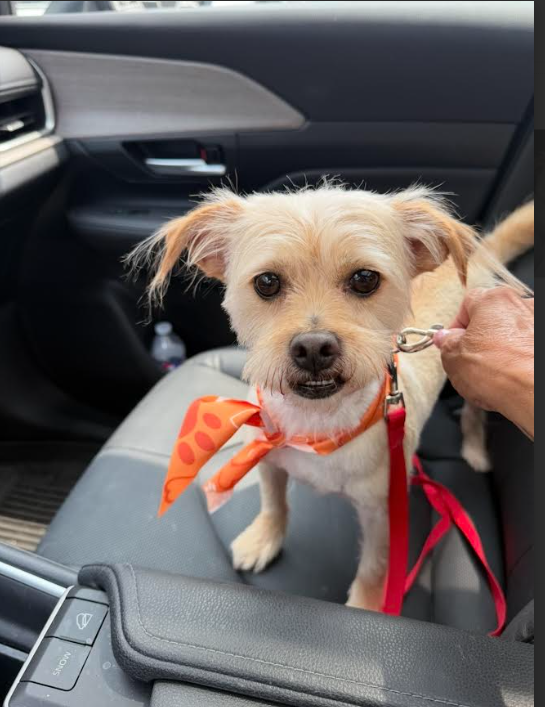 Benji Nick in RI Image