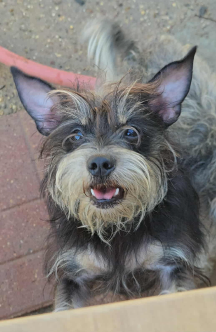 Betty Jean in TX