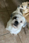 Clyde in TX - Photo 5