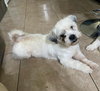 Clyde in TX - Photo 4