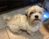 Clyde in TX - Photo 2