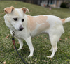 Daisy in RI - Photo 7