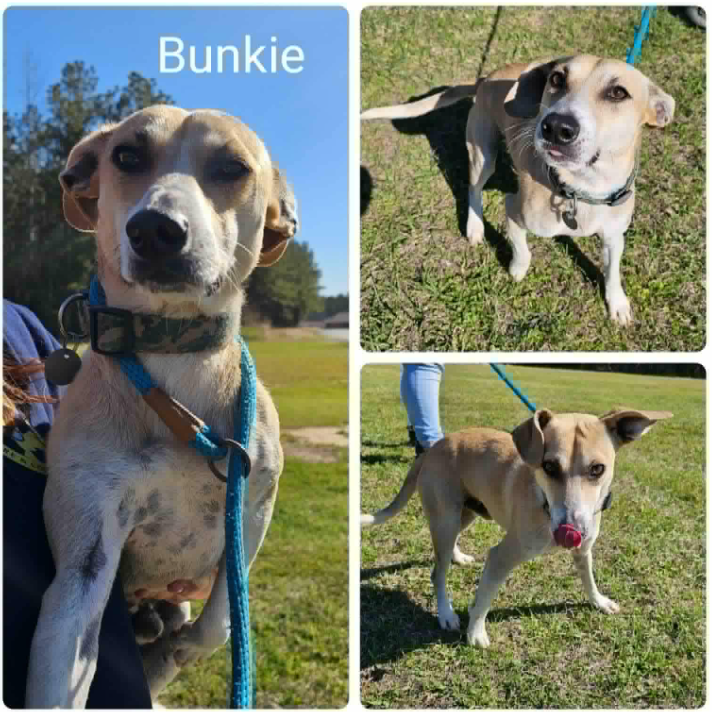 Bunkie in LA