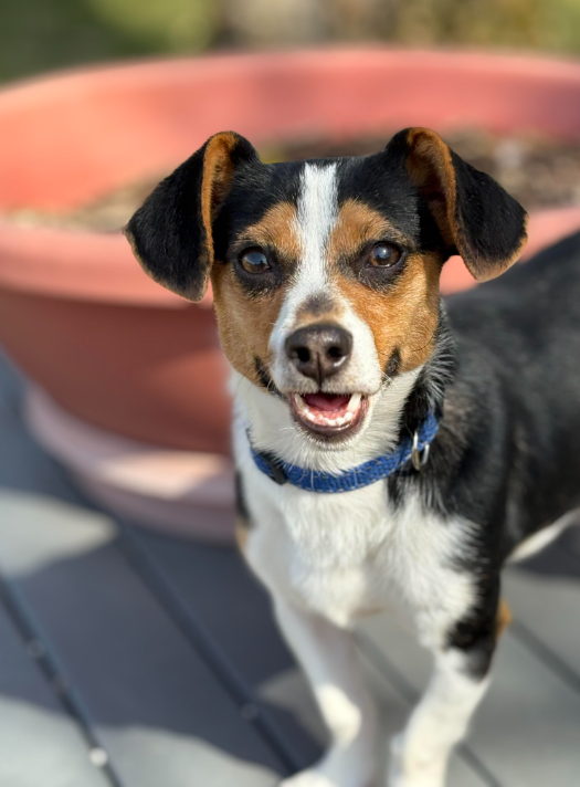 Brody in TX Image