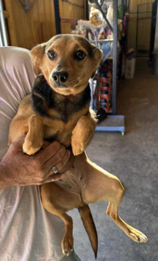 Rutledge in TX Image