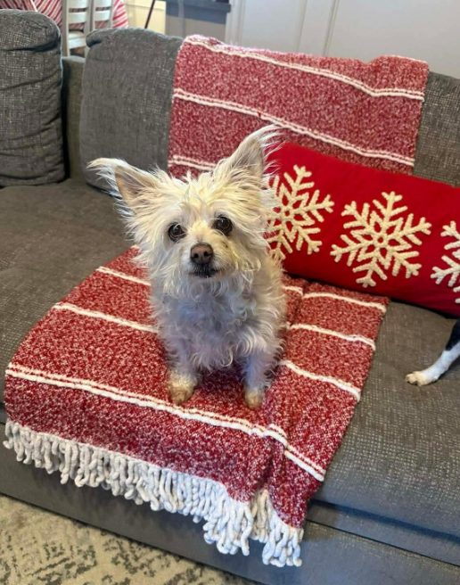 Chloe in TX Image