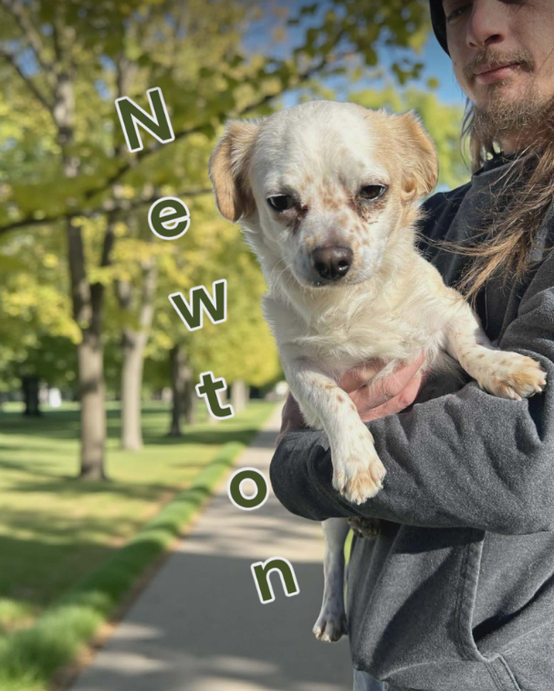 Newton in TX