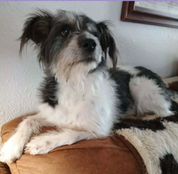 Molly in TX