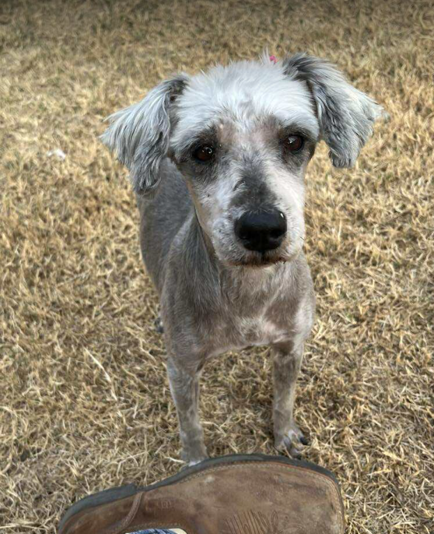 Luna in TX