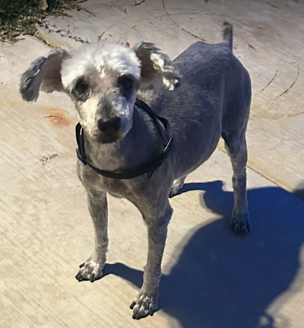 Luna in TX