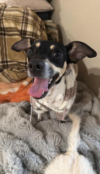Maggie Jean in TX