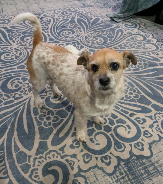 Chloe in LA Image