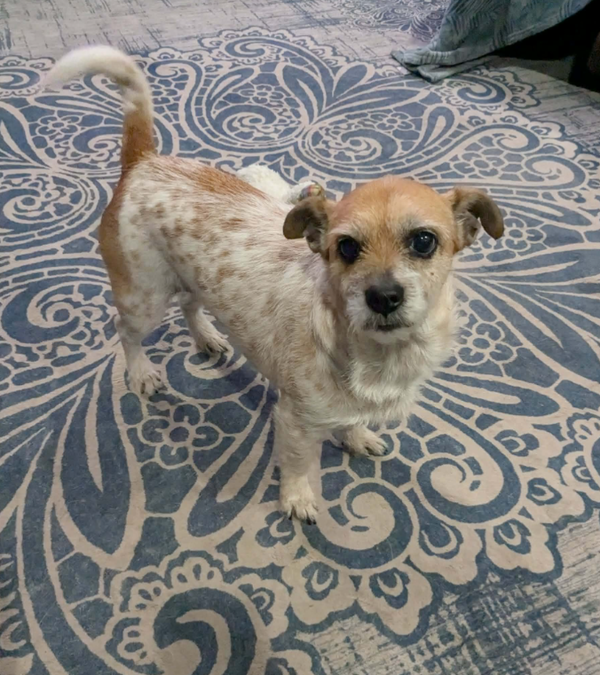Chloe in LA
