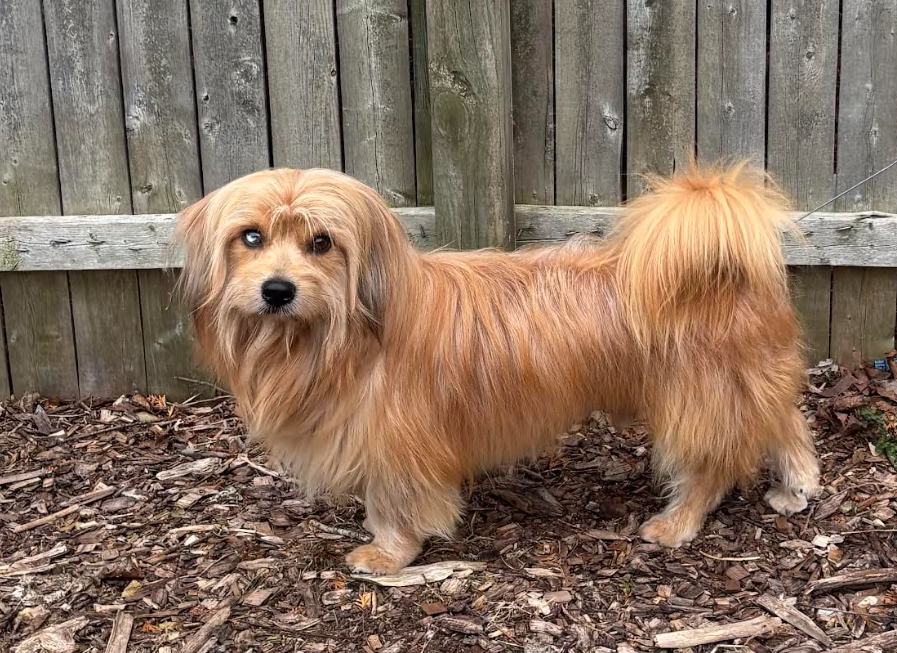 Remi Jo in RI Image
