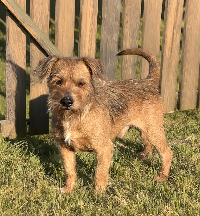 Grady in TX Image