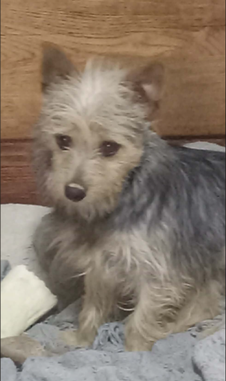 Millie in TX