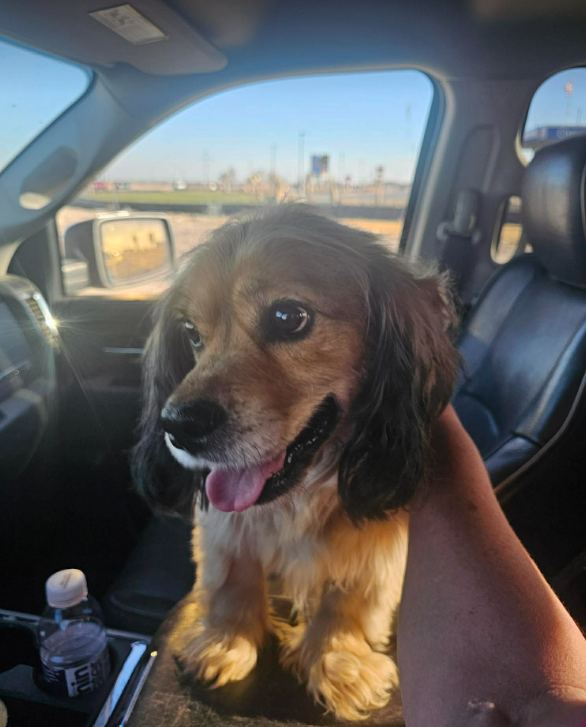 Roscoe in TX Image