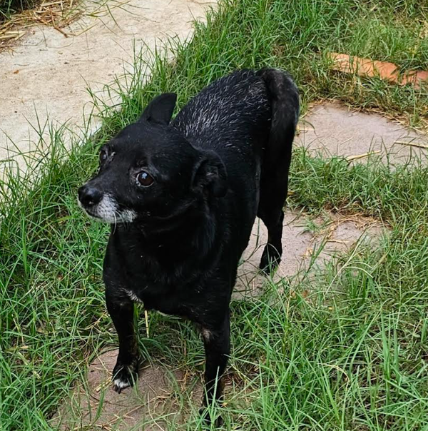 Rocky in TX