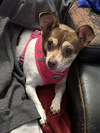 Emma in TX - Photo 3