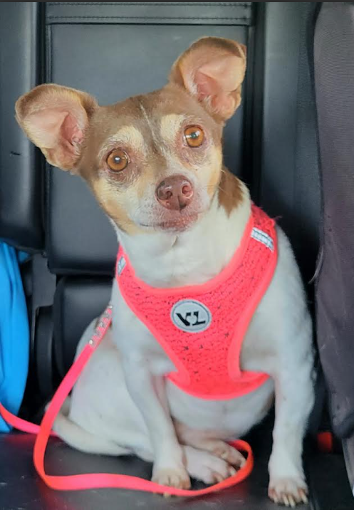 Emma in TX Image
