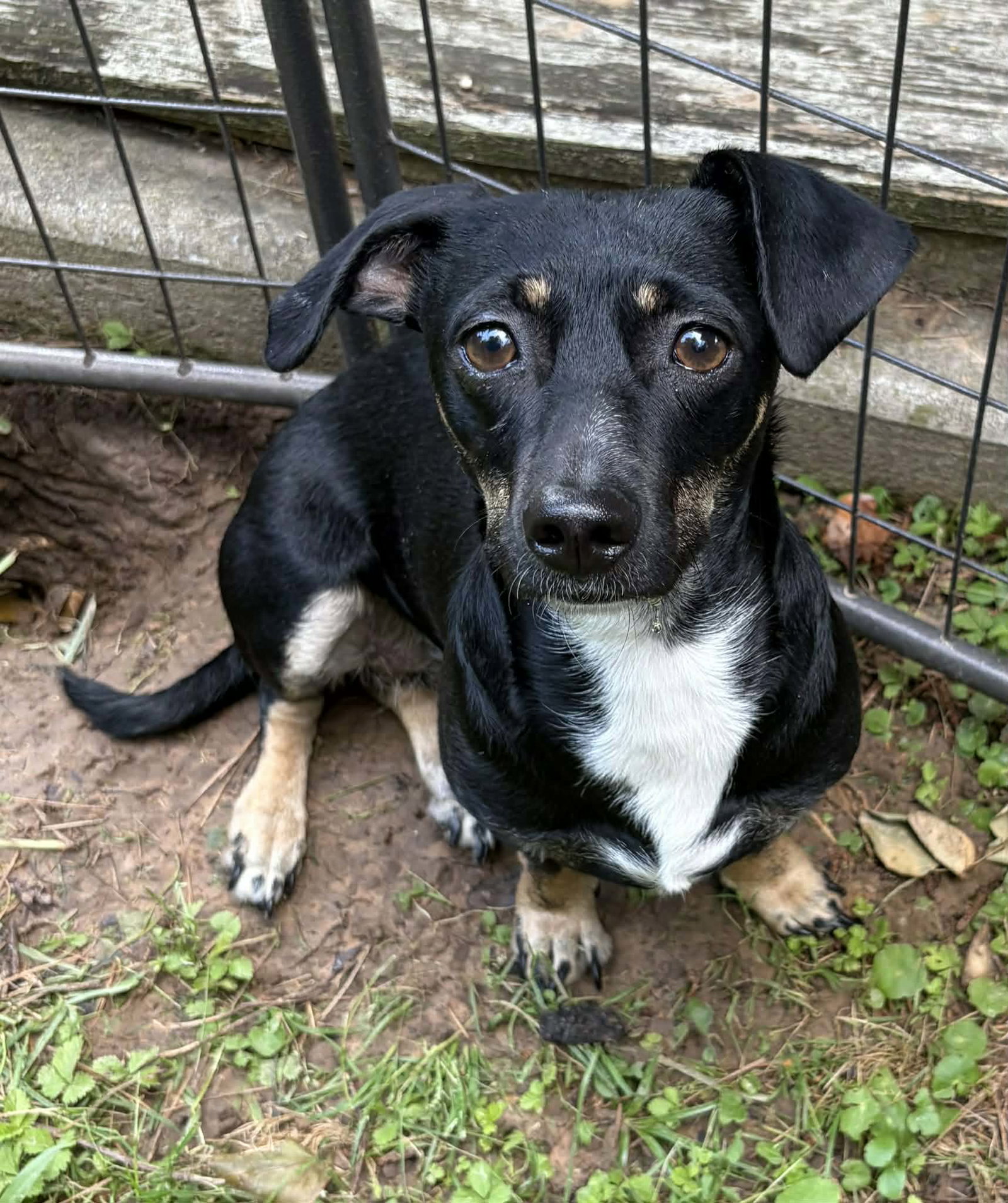 Luna B in LA