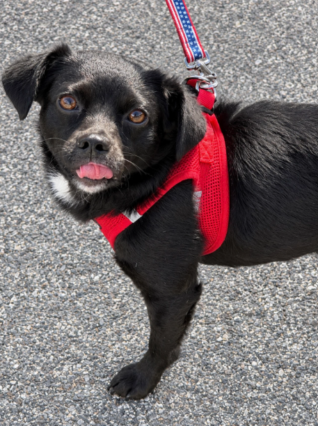 Farley in RI, photo 4