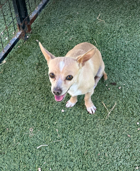 Tiny Tot in TX