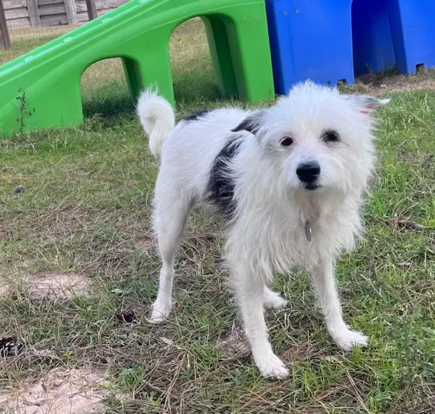 Flora Mae In Tx image 2