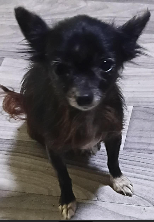 Izzie In Tx photo 2