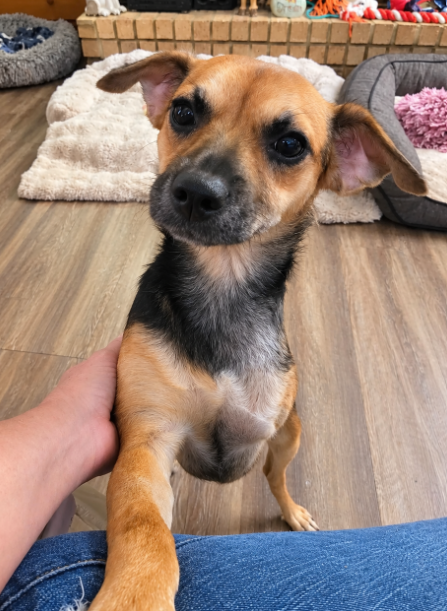 Teeny in LA