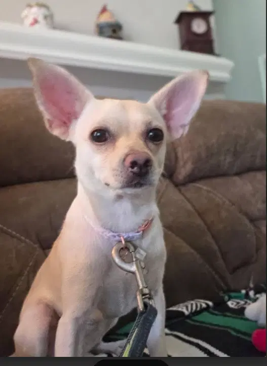 Hilda In Tx image 2