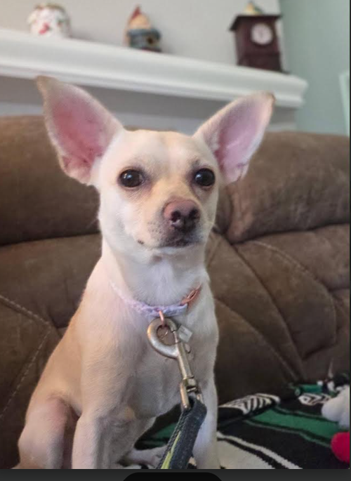 Photo 2 of Hilda in TX