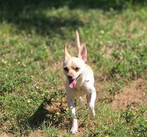 Photo 3 of Hilda in TX