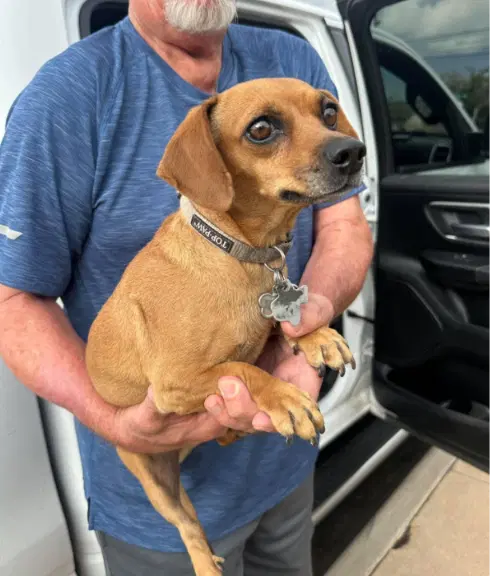 Oakley In Tx image 3