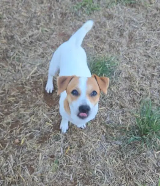 Lenny In Tx image 2