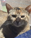 Charlotte - Photo 3