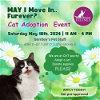 adoptable Cat in palatine, IL named AAA ADOPTION EVENT at BENTLEY
