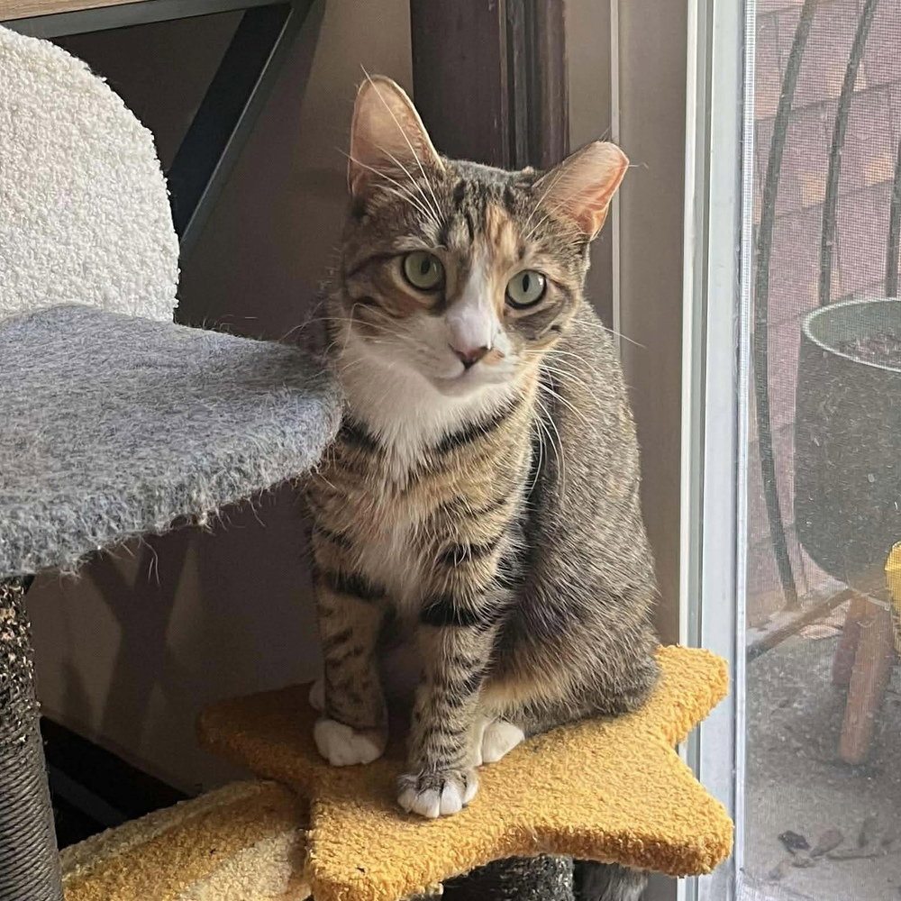 Daisy (aka Buddy) Image
