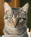 Reptar (aka Tallahassee) - Photo 3