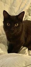 GiGi - Photo 2