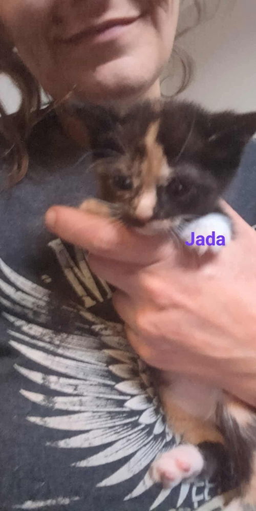 Nessie (aka Jada)
