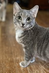 Maxine - Photo 3