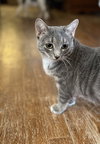 Maxine - Photo 4