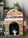 King Tuxy - Photo 4