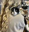 Donatella - Photo 4