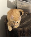 Maverick - Photo 4
