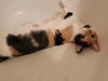 Marceline - Photo 2