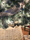 Hickory - Photo 2
